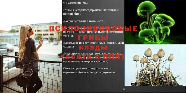 гашик Абинск