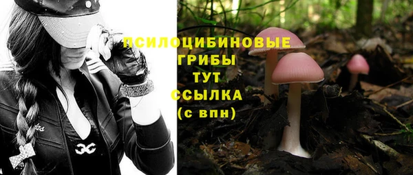 мет Заводоуковск