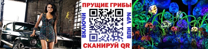 закладка  Харабали  Псилоцибиновые грибы GOLDEN TEACHER 